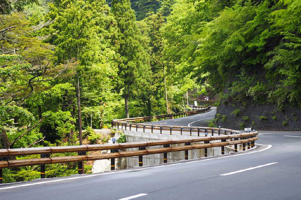 木製ガードレール木景の施工例・海沿いの道路